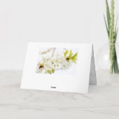 ヨハネ3:16神は世界を愛し、イースター恵み シーズンカード (裏面)