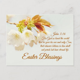 ヨハネ3:16神は世界を愛し、イースター恵み シーズンポストカード