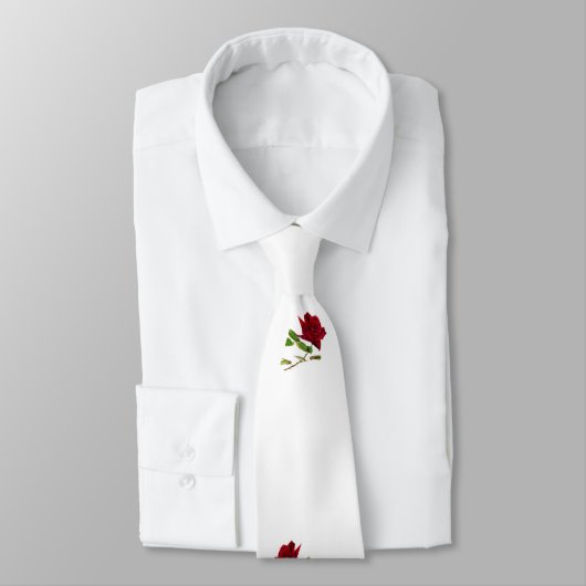 ヨハネ3:16 ネクタイ (タイ)