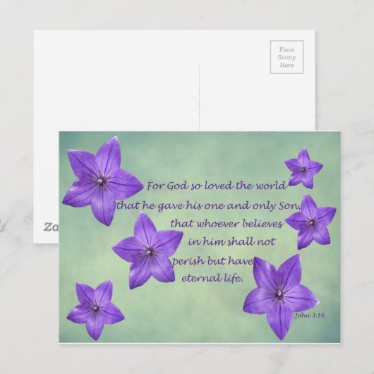 ヨハネ3:16 ポストカード (正面/裏面)