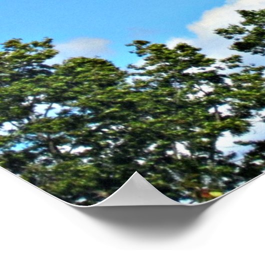 ヨハネ3:36子を信じる者は… ポスター (角)