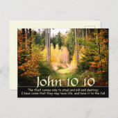 ヨハネ 10:10 わたしは、あなたたちが豊かな命を得るためにならってきた ポストカード (正面/裏面)