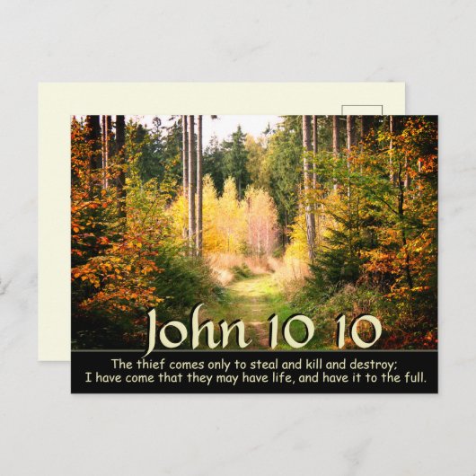 ヨハネ 10:10 わたしは、あなたたちが豊かな命を得るためにならってきた ポストカード (正面/裏面)