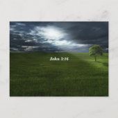 ヨハネ 3:16 神は愛に満ちておられる；永恒の生命への道 ポストカード (裏面)