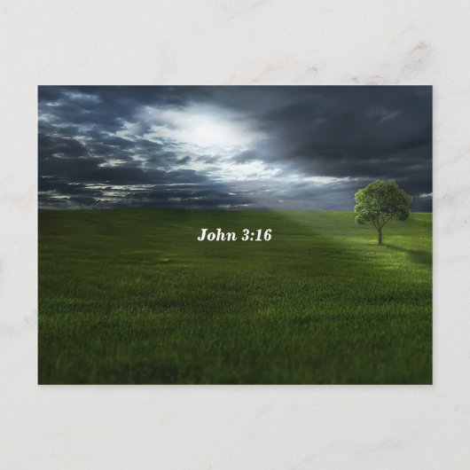 ヨハネ 3:16 神は愛に満ちておられる；永恒の生命への道 ポストカード (裏面)