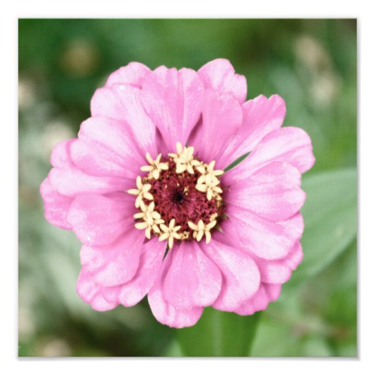 ヨハンの美しい写真 フォトプリント            (正面)