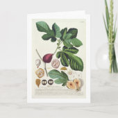 ヨハンヤコブHaidの(1704-67年の)プレートによって刻まれるイチジク カード (正面)