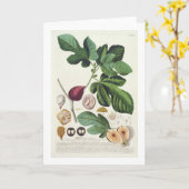 ヨハンヤコブHaidの(1704-67年の)プレートによって刻まれるイチジク カード (黄色い花)