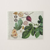 ヨハンヤコブHaidの(1704-67年の)プレートによって刻まれるイチジク ジグソーパズル (横)