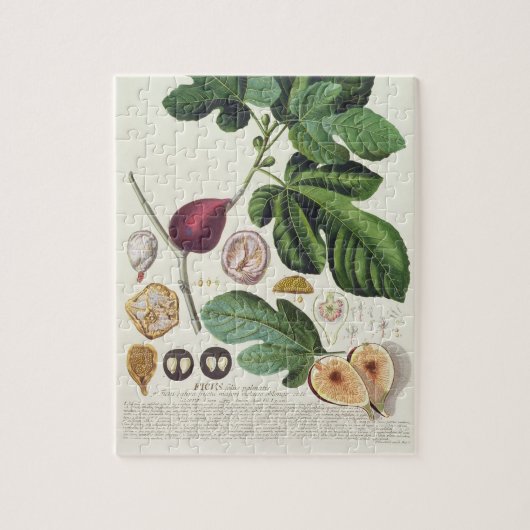 ヨハンヤコブHaidの(1704-67年の)プレートによって刻まれるイチジク ジグソーパズル (縦)