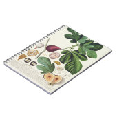 ヨハンヤコブHaidの(1704-67年の)プレートによって刻まれるイチジク ノートブック (左側)