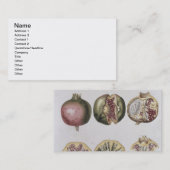 ヨハンヤコブHaid (1704-6年が刻むザクロ 名刺 (正面/裏面)