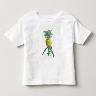 ヨハンヤコブHaid (1704-67年)が刻むパイナップル トドラーTシャツ