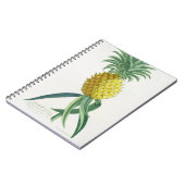 ヨハンヤコブHaid (1704-67年)が刻むパイナップル ノートブック (左側)