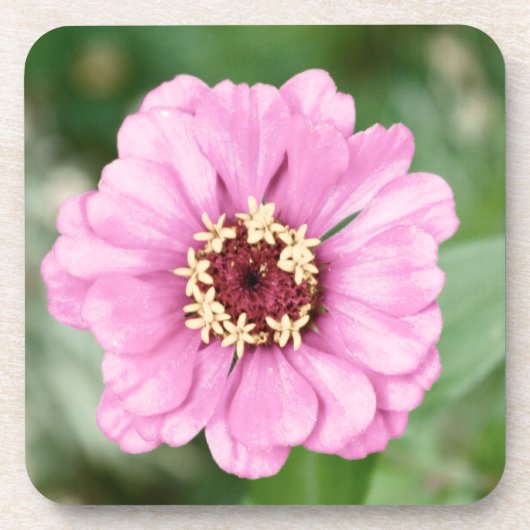 ヨハン美しいコルクコースター コースター (正面)