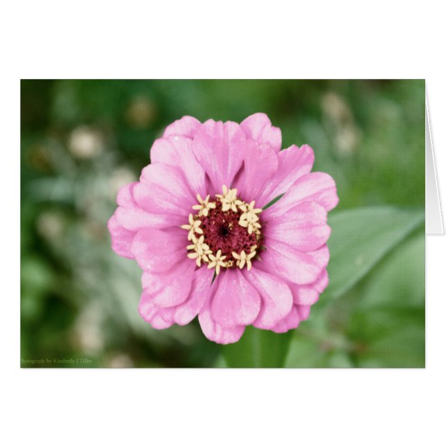 ヨハン美しい (正面横)