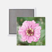 ヨハン美しい マグネット (正面/裏面)