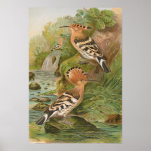 ヨハン・フリードリヒ・ナウマンのエポス