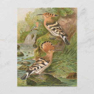 ヨハン・フリードリヒ・ナウマンのエポス ポストカード