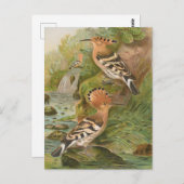 ヨハン・フリードリヒ・ナウマンのエポス ポストカード (正面/裏面)