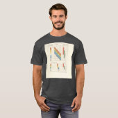 ヨハン・ヴォルフガング・フォン・ゲーテ色説1 Tシャツ (正面フル)