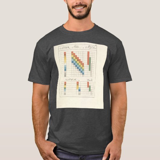 ヨハン・ヴォルフガング・フォン・ゲーテ色説1 Tシャツ (正面)
