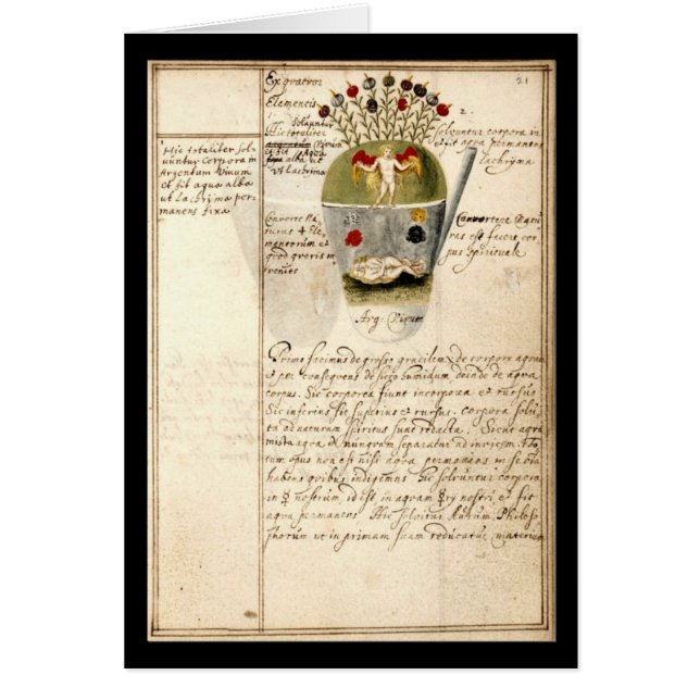 ヨハンGrasshoff 1620のプレート8による錬金術のノート (正面)