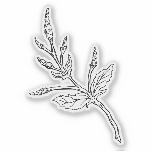 ヨモギのハーブのシール シール (正面)