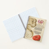 ヨリスホーフナゲルマルタゴンリリーとトマト1562 ノートブック (内部)