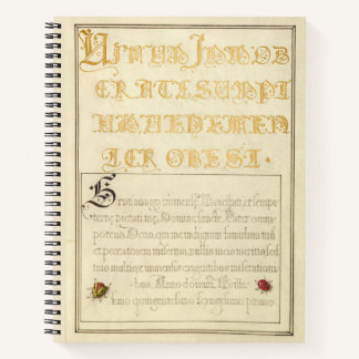 ヨリス・ホーフナジェル・カブトムシに似た昆虫1562 ノートブック