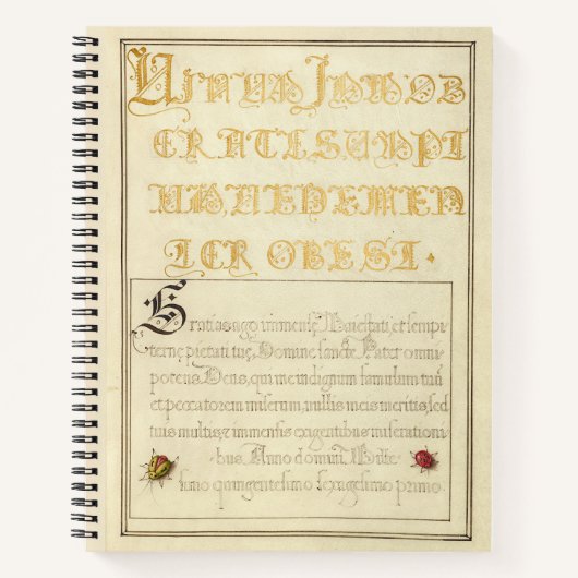 ヨリス・ホーフナジェル・カブトムシに似た昆虫1562 ノートブック (正面)