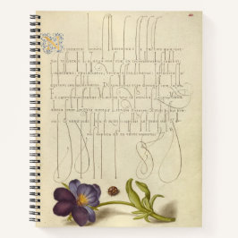 ヨリス・ホーフナジェル・ラディバードとヨーロッパ1562 ノートブック