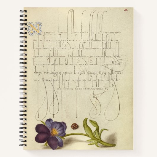 ヨリス・ホーフナジェル・ラディバードとヨーロッパ1562 ノートブック (正面)