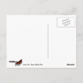 ヨルダン池IIアットアカディア国立公園 ポストカード (裏面)