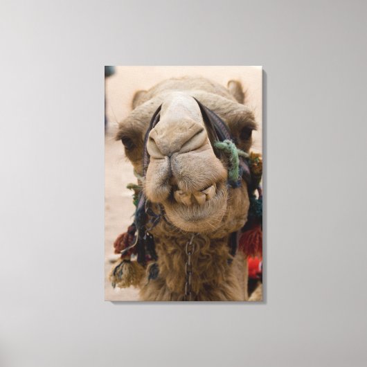 ヨルダン、ペトラの古代ナビタエの都市 キャンバスプリント (正面)