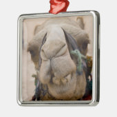 ヨルダン、ペトラの古代ナビタエの都市 メタルオーナメント (左)