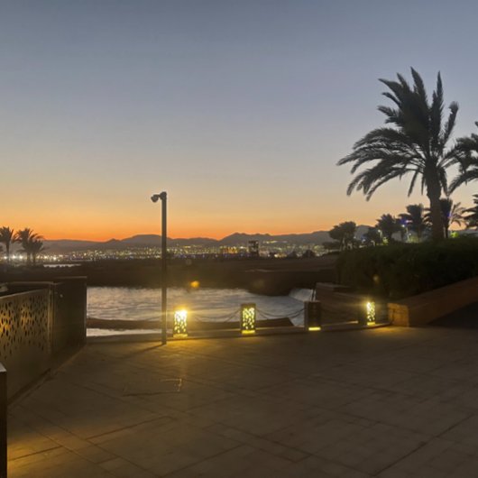 ヨルダン，招待状カード 招待状