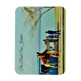 ヨルダン・死海 マグネット