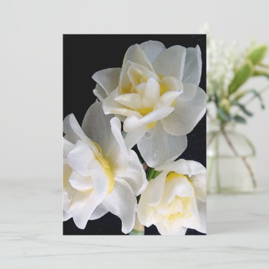 ヨンキルの花 – Ecclesiastes 3:1 (スタンド正面)