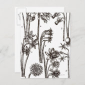 ヨンクイルの品種 ポストカード (正面/裏面)