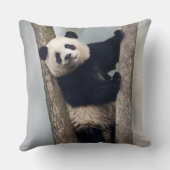 ヨンパンダ登山aツリー、中国 クッション (裏面)