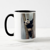 ヨンパンダ登山aツリー、中国 マグカップ (左)