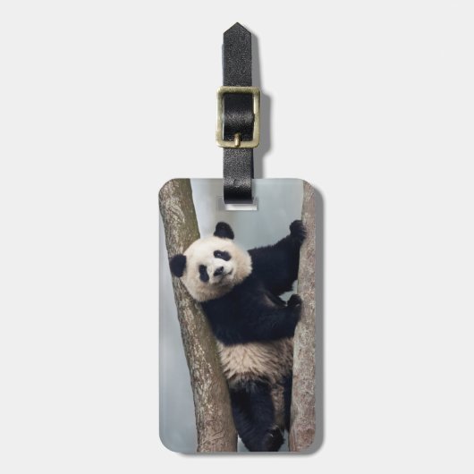 ヨンパンダ登山aツリー、中国 ラゲッジタグ (正面縦)