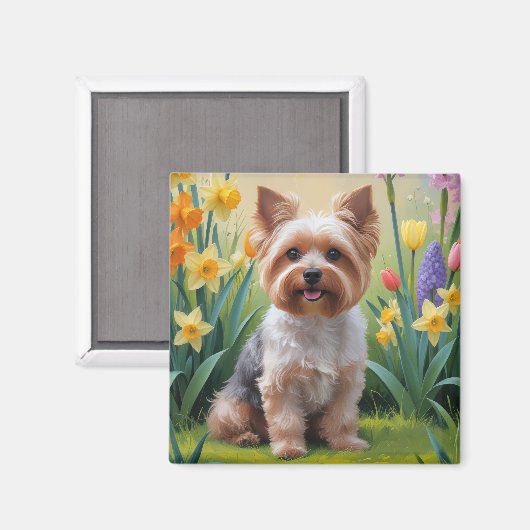 ヨーキプー 犬 春の花 絵画 マグネット (正面/裏面)