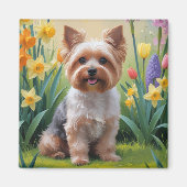ヨーキプー 犬 春の花 絵画 マグネット (正面)
