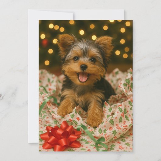 ヨーキーのクリスマスカード 招待状 (正面)