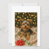 ヨーキーのクリスマスカード 招待状 (裏面)