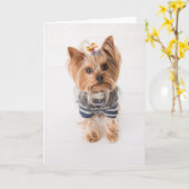 ヨーキーのスウェット カード (黄色い花)