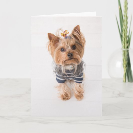 ヨーキーのスウェーター カード (正面)