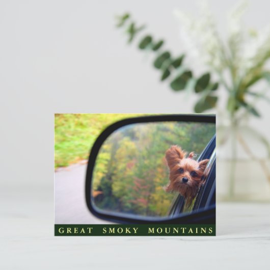 ヨーキーの犬 - 秋のドライブ - グレートスモーキー山脈 ポストカード (スタンド正面)